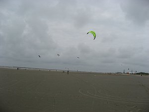 IMG_0479.jpg